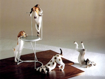 TD-313の画像